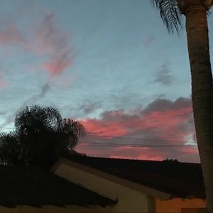 Meet your Posher, Carmen